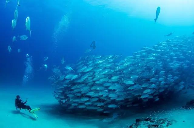 再添“海上利器” 我国最新海岸带综合调查船交付